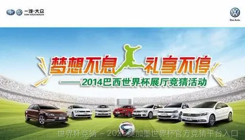 我们的故事：从热爱到专业